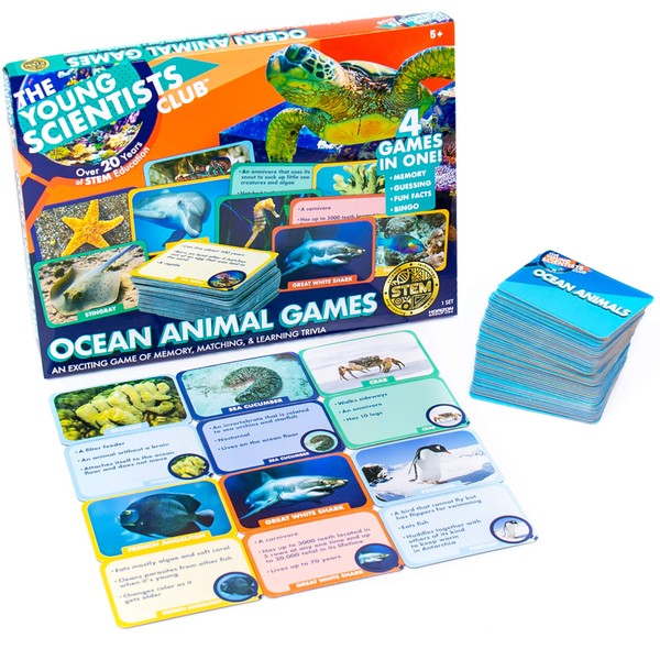The Young Scientist Ocean Animal Card Games, 4 Card Games in 1, Matching, Bingo, Memory, Trivia, Hands-On Educational STEM Fun for Age 5 and Up, Kids Card Games