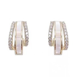 XFSRG Women's Earrings S925 Silver Double Circle Earrings Elegant and Stylish Design Modern Hoop Earrings for Wedding Party and Everyday Use, Alloy Steel