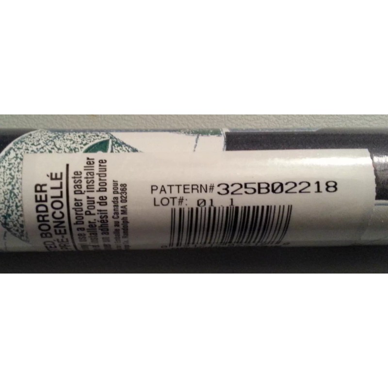 Brewster Sports Wallpaper Border #2