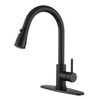 Matte Black Kitchen Faucets with Pull Down Sprayer, Kitchen Sink