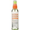 Garnier Fructis Style Brilliantine Shine Glossing Spray, Sleek , 3