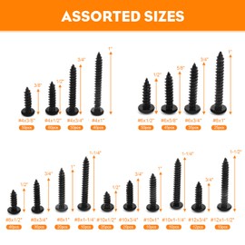 Gternity 542PCS #4#6#8#10#12 Phillips Head Screw Set Stainless Steel Wood Screws Assortment Kit, Assorted Sheet Metal Self Tapping Screws, 18-8(304) Stainless Steel (pan Black)