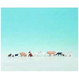 Noch 45711 Farm Animals Landscape Modelling