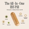 All-in-One IBS Dietary Supplements Enzymes, Peppermint, Ginger, and 8 Natural
