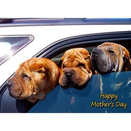 Shar Pei Dog Mothers Day Card