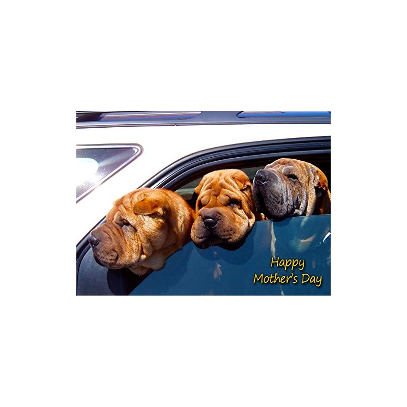 Shar Pei Dog Mothers Day Card