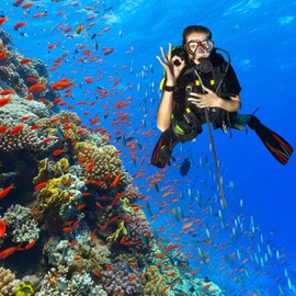 XHIKOWAT Aluminum Alloy Tickle Pointer Stick Resistant Diving Rod Dive Sport (Black),Diving