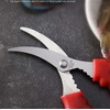 FRUTA 3 Pieces Seafood Scissors Lobster Scissors Multifunctional Stainless Steel