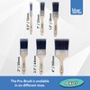 Axus Decor Pro Paint Brush (blue) - 1"/25mm - Painting