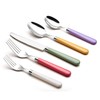 ANNOVA Silverware Set 20 Pieces Stainless Steel Cutlery Color Handle