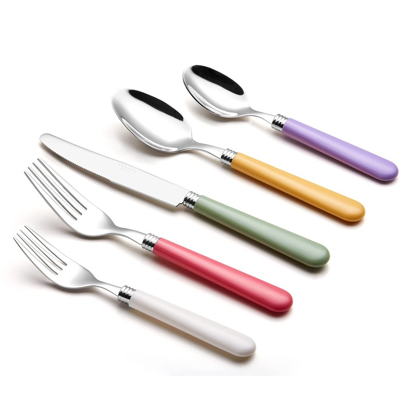 ANNOVA Silverware Set 20 Pieces Stainless Steel Cutlery Color Handle