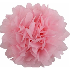 Lightingsky 10pcs Tissue Paper Pom Poms DIY Decorative Flowers Ball Perfect for Party Wedding Home Outdoor Decoration (Pink, 6 inch)