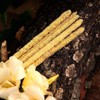 Sagrada Madre - Botanical - Magnolias Incense Sticks