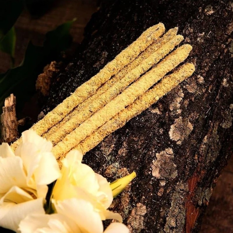 Sagrada Madre - Botanical - Magnolias Incense Sticks