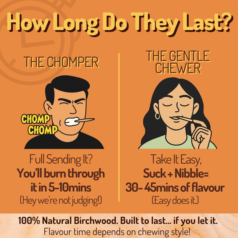 pikz Flavoured Toothpicks – Bold Natural Flavours, Resealable Packs –