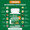 NICMIN Liposomal Artemisinin Supplement 1000mg, Sweet Wormwood Extract with 200mg