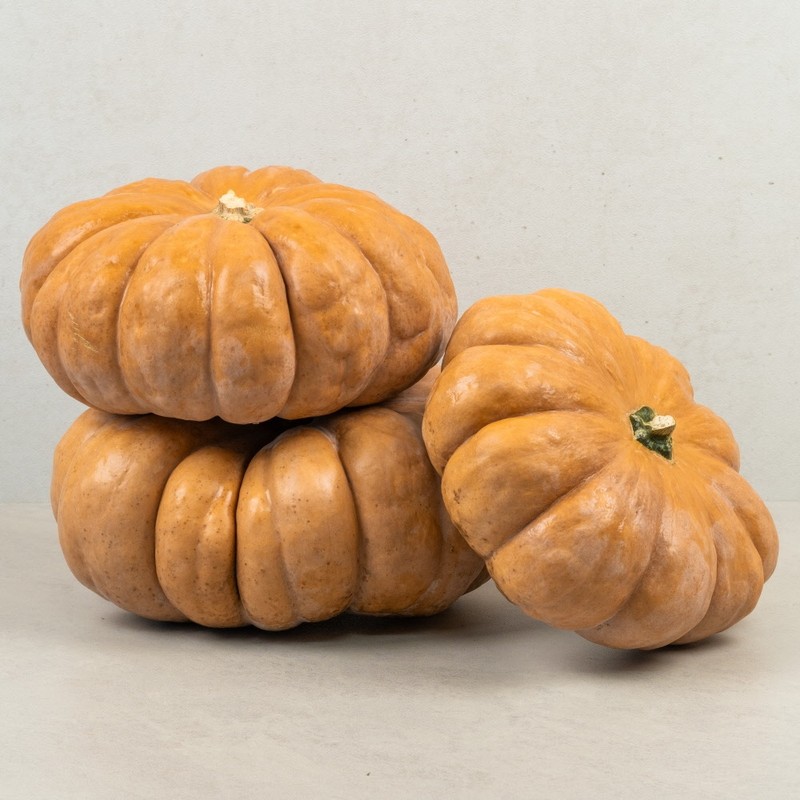 Ssarijae Millstone Pumpkin Powder [Domestic Old Pumpkin Powder 100g] Pumpkin