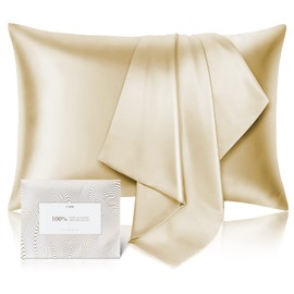 100% Pure Mulberry Silk Pillowcase for Hair and Skin - Allergen Resistant Dual Sides,600 Thread Count Silk Bed Pillow Cases with Hidden Zipper,1pc,King Size,Champagne