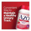 Suplemento Cápsulas Fibra Vitaminas Azo Sabor Arándano Rojo 130 100