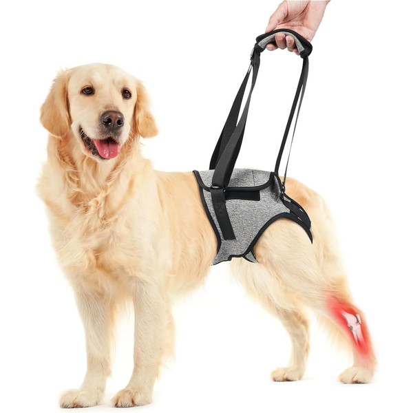 Dog Lift Harness for Back Legs, Adjustable Help em up