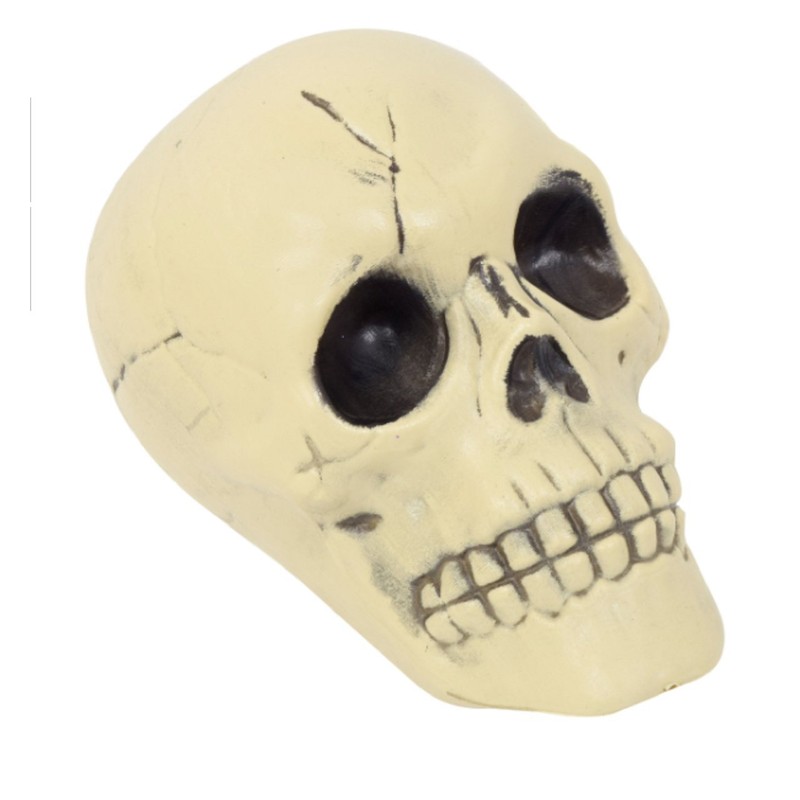 Greenbrier International Plastic Skull