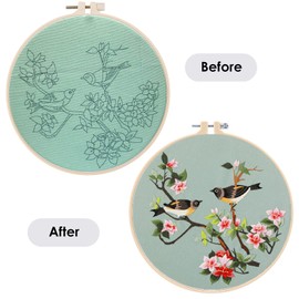 Craft Kits for Adults, DIY Embroidery Kit Come with Embroidery Cloth, Plastic Hoop, Needles and Threads, Instructions, Complete Cross Stitch Kits for Beginners, Embroidery for Home Decor, Gifts