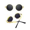 WALIT Steampunk Style Round Vintage Polarized Sunglasses