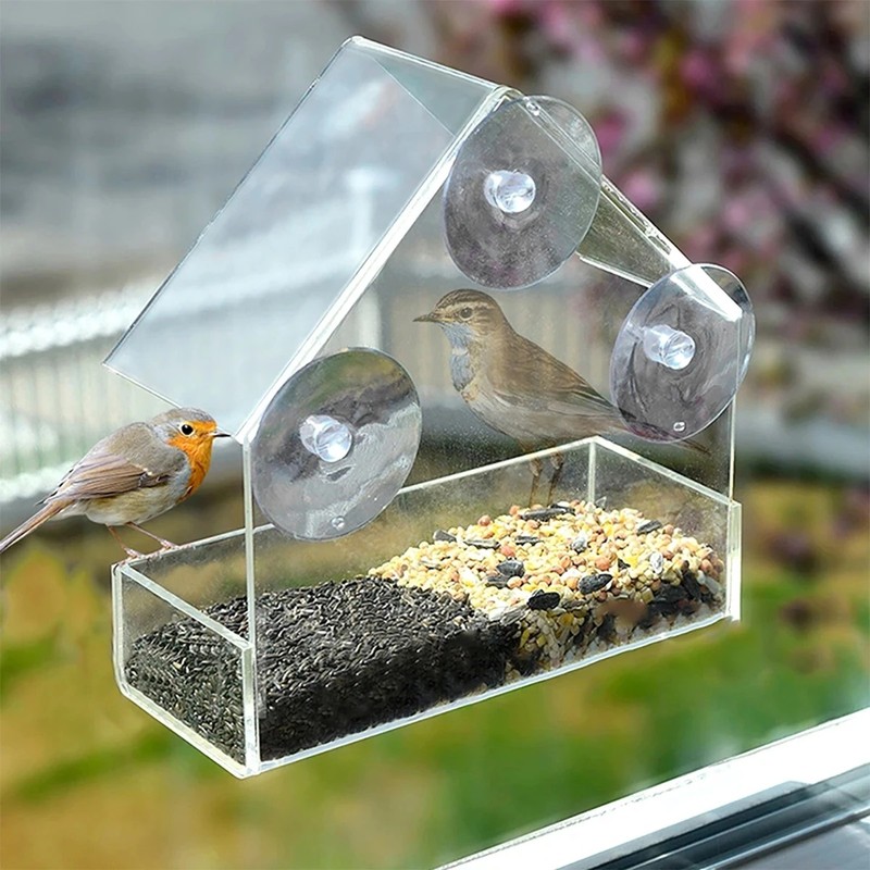 House Transparent Window Wild Bird Feeder Outdoor Removable Suction Cups