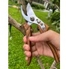 Pruning Shears, Flower Cutters for Stems, German Stainless Steel Blades,