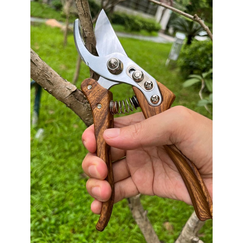 Pruning Shears, Flower Cutters for Stems, German Stainless Steel Blades,