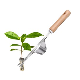 IVEOPPE Weeder Stainless Steel 1 Piece, Weed Remover Device with Wooden Handle, Manual Weeder for Digging, Weeding, Loosening, Manual Weeder Dandelion Puller, Lawn Mower for Garden, Lawn, Yard