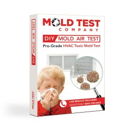 BioCide Labs DIY HVAC Mold Test Kit | Tests up to 10 Locations for Air Mold and Toxins