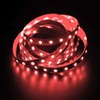 RGBW RGB+W 6000K LED Strip 4in1 Chip 500cm 5m ;