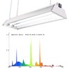 Durolux DL822N T5 HO 2Ft 2 Fluorescent Lamps Grow Lighting