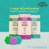 Grisi Organics, Shampoo Slido Agave Azul, 75 Gr