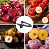 Cherry Pitter, Stainless Steel Cherry Stone Remover, Fruit Corer, Premium