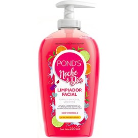 Pond's Limpiador Facial Noche y Día 220 ml