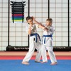 Martial Arts Belt Display Rack, Wooden Wall Mount, Karate and