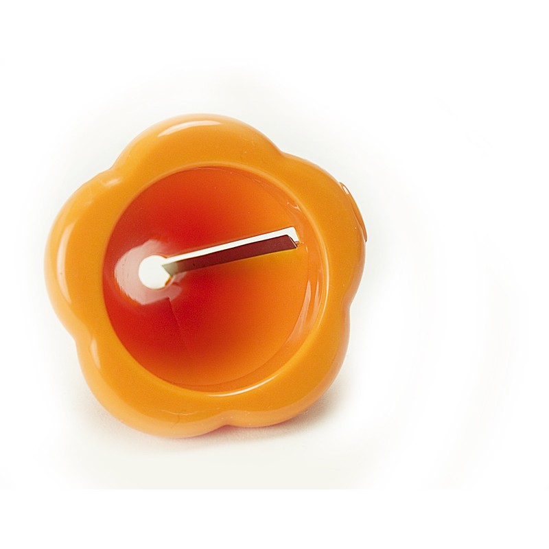 amerikandyi-rusuko-pore-syon Vegetable dekoreitexibukatta- Orange