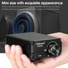 Nobsound - Amplificador de audio digital de 100 W para
