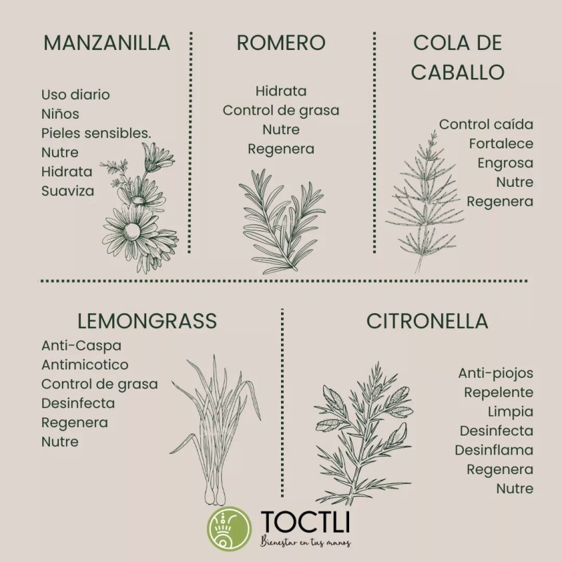 Toctli Shampoo Solido Natural Artesanal 100gr