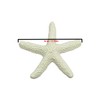 LJY 25 Pieces 6cm Beige Resin Pencil Finger Starfish for