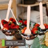 100% Wooden Disposable Spoons, (100 Count) Planet Friendly Utensils, Compostable