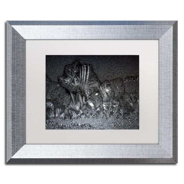 Window Frost at Night 3 by Kurt Shaffer, White Matte, Silver Frame 11x14-Inch