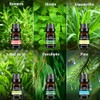 Aceites Esenciales Aromaterapia Set Botellas Kit Elaborado Ingredientes Naturales Adecuado