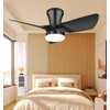 OPONL Black Ceiling Fan with Light 30inch, Large Air Volume,