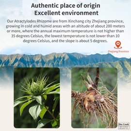 Hee Creek Atractylodes 白术 Bai Zhu10.58/300g Premium Cut Slices Bai Zhu Atractylodes Rhizome Tea Atractylodis Macrocepgalae Chinese Dried Herbs Natural Herbal Tea, Sulfur Free, Large head 特级白术 大片