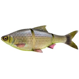 Savage Gear 3d Line Thru Roach (Hugo, 25cm/206g slow sinking)