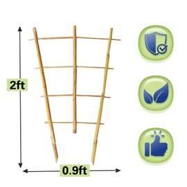 Sprigra Bamboo Trellis 2FT 3 Pack, Natural Bamboo Plant Ladder Stakes 24 Inches, Fan-Shaped Plant Trellis for Orchid Vines, Monarchs, Ivy and Other Plants Climbing, Help Plant Growth