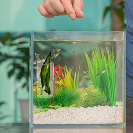 Happyyami Betta Fish Tube 2pcs Fish Acrylic Tube Tunnel Leaf Pad Shrimp Hideout Betta Toys Shelter Hideaway Habitat Cave Aquarium Decorations